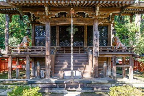 Sekizan Zen-in main hall komainu