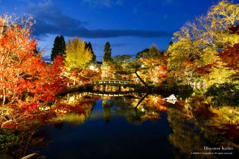 The Hōjō Pond during the autumn light-up at Eikan-dō temple.