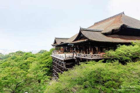 Summer view of the stage at Kiyomizu-dera.