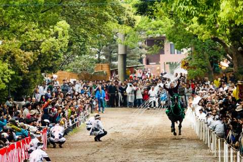 Yaharai performed during the Trick Riding Ritual at Fujinomori Shrine.