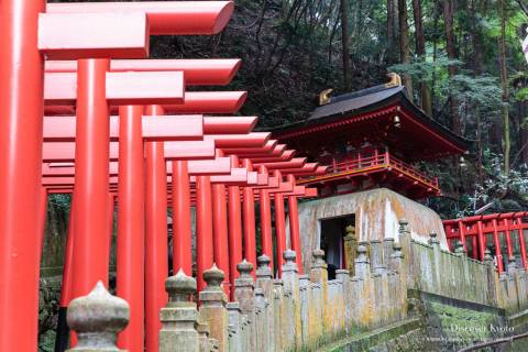 A line of torii gates leading up the mountain during the Aki Matsuri at Tanukidani-san Fudō-in.