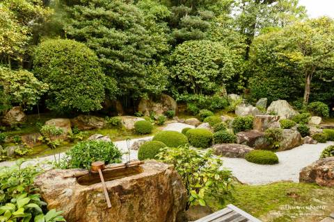 Taizō-in Motonobu no Niwa Garden