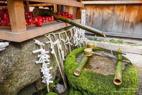The shrine during Hiina Matsuri at Ichihime Shrine.