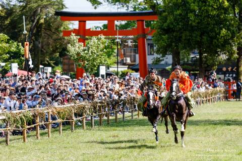 Kamo Kurabeuma Race Full Speed