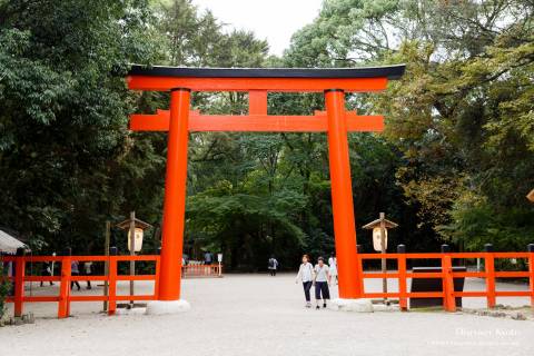 Meigetsu Kangen-sai Shimogamo Torii