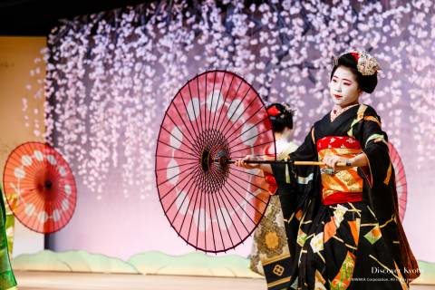Kotobuki-kai Maiko Umbrellas