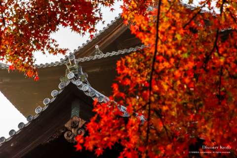 Sanmon Gate at Nanzen-ji in autumn.