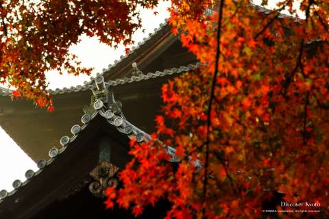 Autumn leaves and building at Nanzen-ji temple.