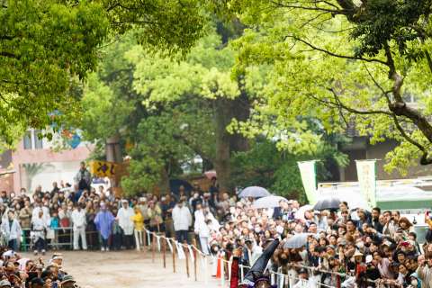 A rider performs during the 2014 the Trick Riding Ritual at Fujinomori Shrine.