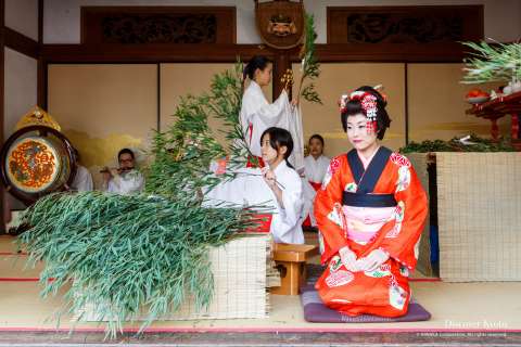 Maiko at Tōka Ebisu at Kyoto Ebisu Shrine.
