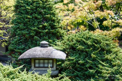 Kajū-ji Lantern Wow