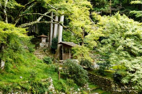 Shōrin-in Grounds