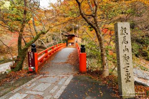 Sacred bridge at Saimyō-ji temple.