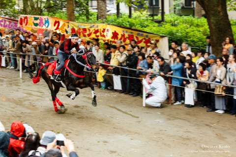 A horse gallops during the Trick Riding Ritual at Fujinomori Shrine.