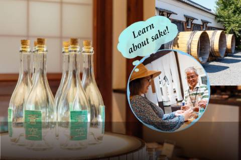 Day in Fushimi Itinerary Thumbnail
