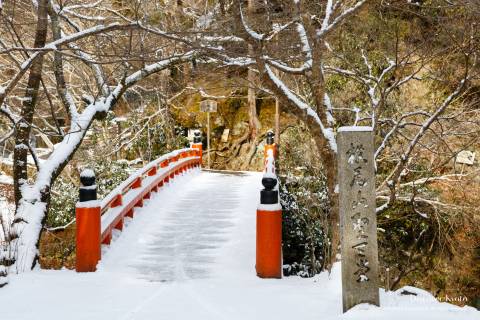 Saimyō-ji Snow Bridge Path