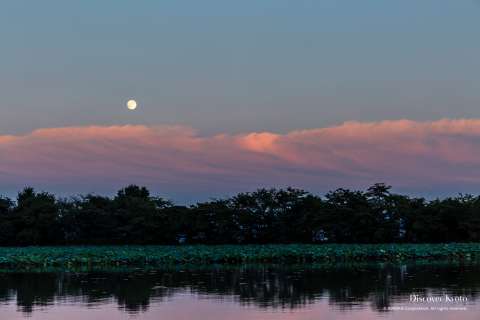 Moon over Daikaku-ji's Osawa Pond during the Kangetsu no Yūbe event.