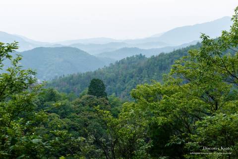 View from the 88 Temple Hike at Ninna-ji.