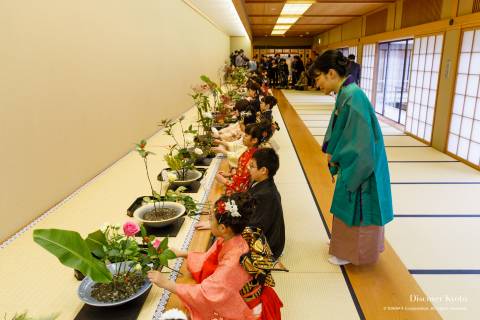 Ikenobo Hatsuike Flowers Ikebana Advice