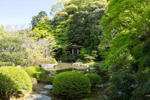 Bishamon-dō Temple Garden Panorama