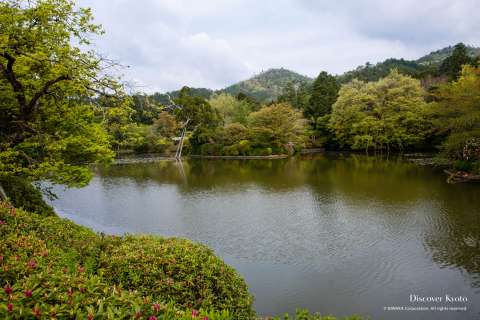 The Kyōyōchi Pond at Ryōan-ji.