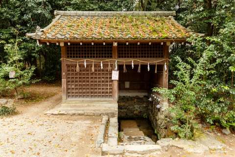 A small spring at Ujigami Shrine.