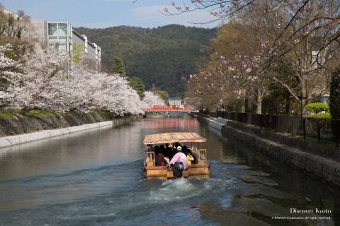 Okazaki Canal Sakura Boat