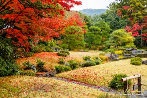 Autumn garden at Murin-an temple.