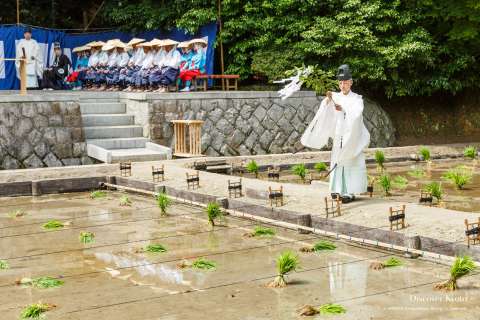 Blessings before the planting at Taue-sai at Fushimi Inari Taisha.