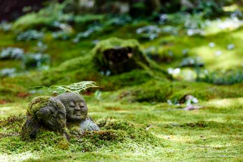Sanzen In Discover Kyoto