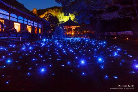 Night light-up at Shōren-in temple.