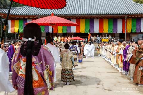 The procession makes its way during Hōtaikō Hanami Gyōretsu at Daigo-ji. 