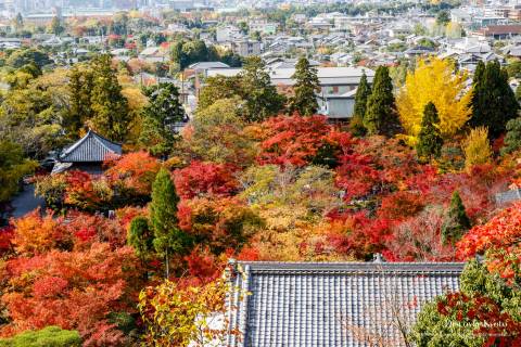 Eikan-dō (Zenrin-ji)