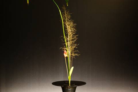 Ikenobo Ikebana Kyutanabata Leaf