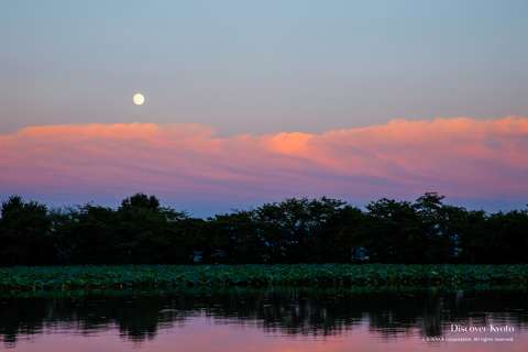 The setting sun at the 2014 Kangetsu no Yūbe at Daikaku-ji