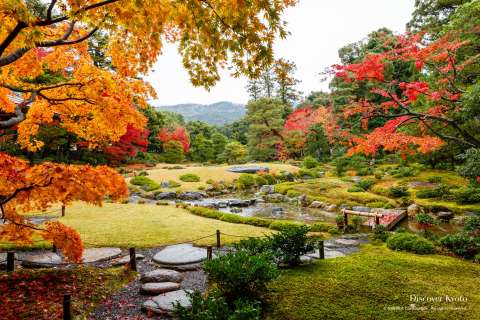 Autumn garden at Murin-an temple.