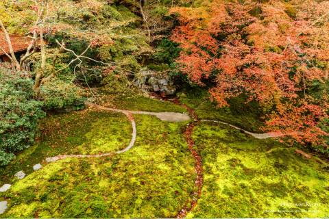Rurikō-in Ruri no Niwa Garden Top