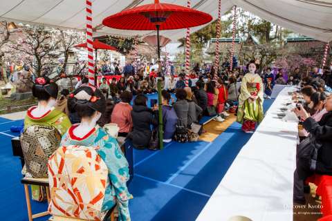 Geiko, Maiko, tables and crowd during the Baikasai tea ceremony at Kitano Tenmangu shrine.