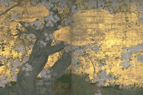 Chishaku-in Temple Sakura Painting