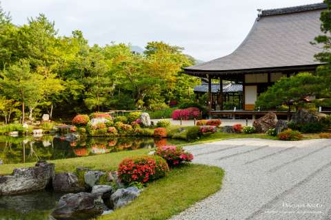 The Abbot's Quarters of Tenryū-ji in spring.