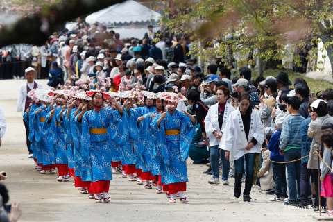 Local girls sing during the 2015 Hōtaikō Hanami Gyōretsu at Daigo-ji. 