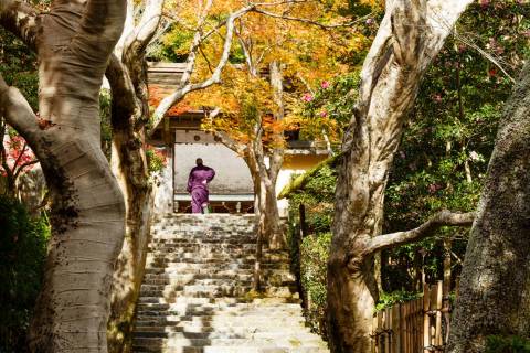 Jakkō-in Autumn Staircase Portrait