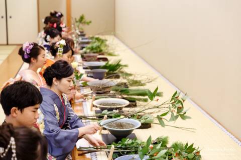 Ikenobo Hatsuike Flowers Seasonal Variety