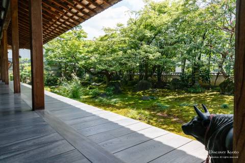 Daruma-dera Ten Bulls Garden