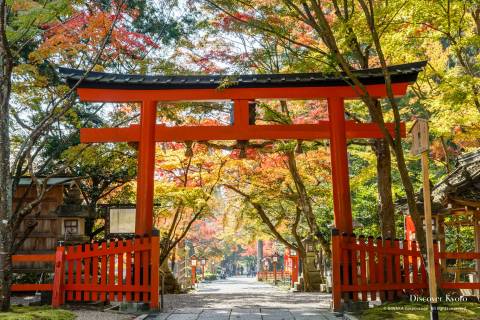 Ōharano Shrine Torii Fall
