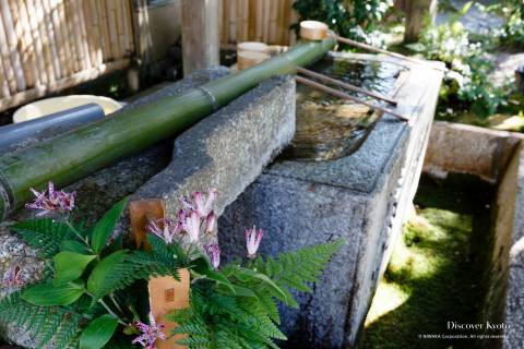 Sekizan Zen-in water basin for purification