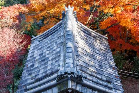 Temple bell at Senkō-ji in autumn.