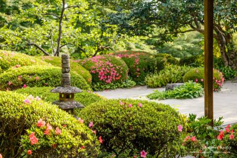 Shisen-dō Azalea Pagoda Garden