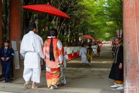 Participants file out during Hōtaikō Hanami Gyōretsu at Daigo-ji.