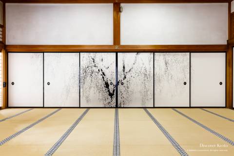 Chishaku-in Temple Taizo Spring